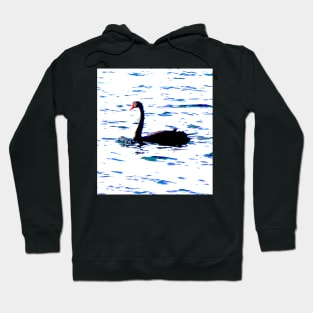 The Black Swan! Hoodie